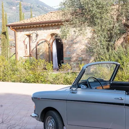 Paradis Agricole * Pietrasanta